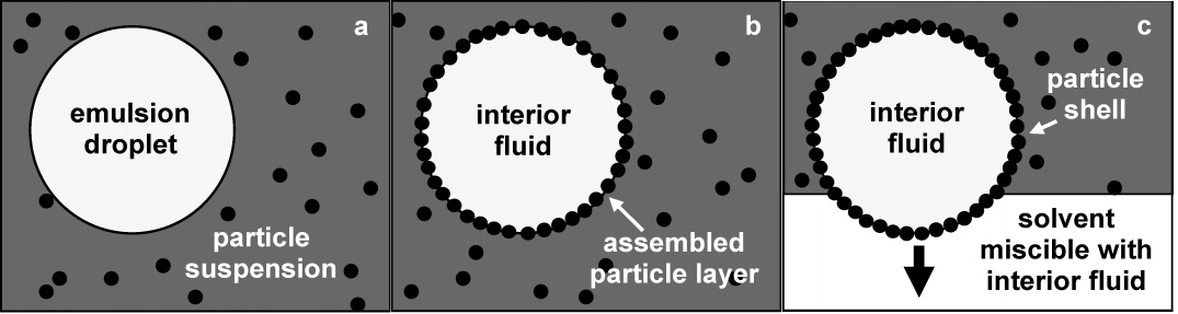 Figure 1: Shell formation: a) Emulsion droplets prepared in particle suspension. b) Particles adsorb at the interface of emulsion droplet to minimize the total interfacial energy. It forms a layer of particles that encapsulates the droplet. After the self-assembly, layers get stabilized to form solid shells. c) Shells are transferred to a solvent miscible with the fluid inside the shell. After removing the droplet interface it form porous capsule. Capsule remains intact due to shell stabilization.