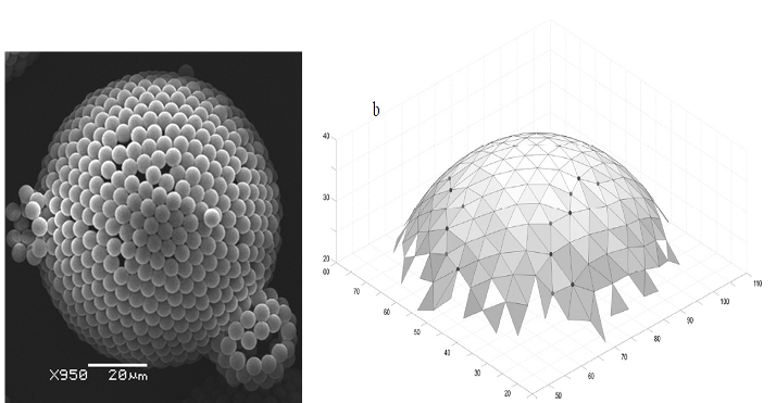 Figure 13: Whereas, is complementary method to Delaunay triangulation (DT) to characterize particle configurations and used to recognize coordinate defects shown in Figure 14 [110,111].