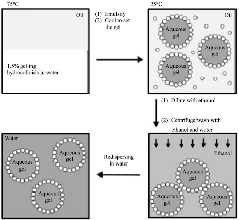 Figure 2: Preparation of gel core colloidosome.