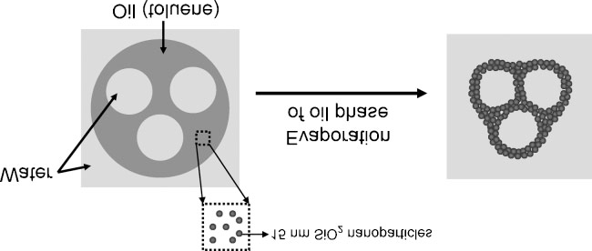 Figure 7: Formation of nonspherical colloidosomes from double emulsions (w/o/w) with multiple internal aqueous drops. Toluene and 15nm hydrophobic silica nanoparticle present in oil phase.