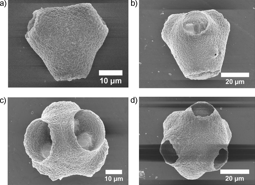 Figure 8: SEM images of nonspherical colloidosomes with internal voids.