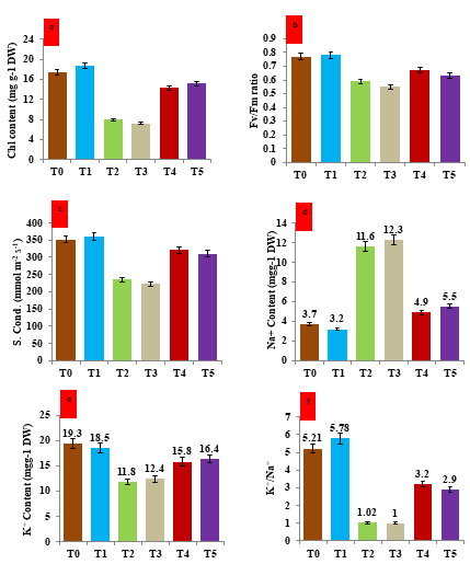 Figure 5: Impact of hematite nanoparticle treatment on the physiological attributes of V. mungo leaves grown under salt and drought stress- a) Total chlorophyll content (mg) of per gram dry weight of the leaf tissue of V. mungo; b) Histogram showing the photosynthetic rate of photosystem II under the influence of hematite treatment; c) Histogram showing the stomatal conductance of V. mungo plants grown under salt and drought stress; d) Sodium (Na+) content in the V. mungo plants grown under salt and drought stress; e) Pottasium (K+) content in the V. mungo plants grown under salt and drought stress; f) Ratio of potassium/sodium (K+/Na+) in the V. mungo plants grown under salt and drought stress. T0: Control (non-stressesd, non- treated) plants of V. mungo; T1: Non-stressed plants, of V. mungo treated with hematite nanoparticle; T2: Salt (NaCl) stressed plants of V. mungo; T3: Drought (Mannitol) stressed plants of V. mungo; T4: Salt (NaCl) stressed plants of V. mungo treated with hematite nanoparticle; T5: Drought (Mannitol) stressed plants of V. mungo treated with hematite nanoparticle. (Data represent the mean of three replicates (n=3), with error bars representing standard deviation of the mean. (p≤ 0.05) between treated lines and non-treated control plant exposed to the same treatment).