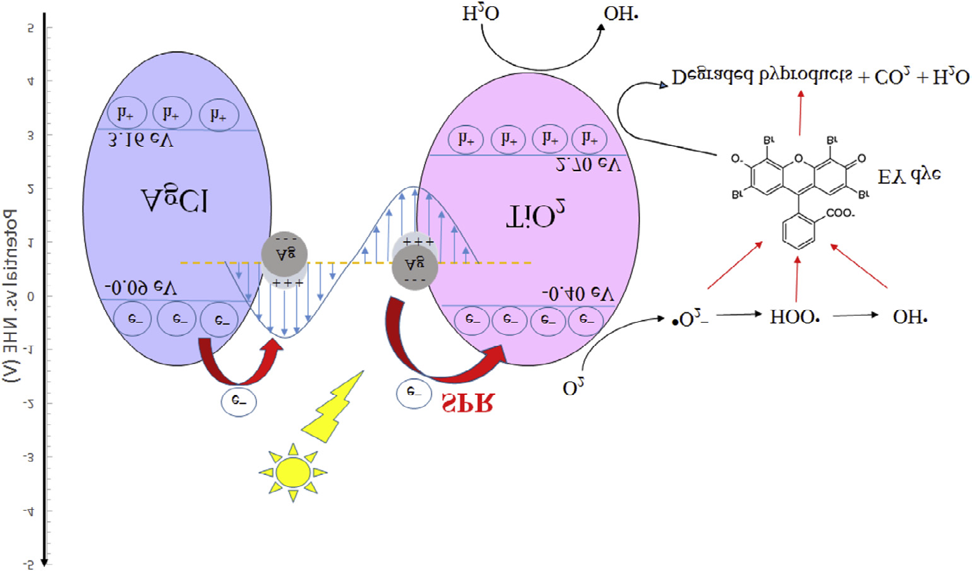 Figure 4: The band structures and photodegradation mechanisms of the Ag/AgCl@TiO2 heterostructure under sunlight.