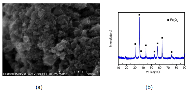 Figure 3: (a) Scanning electron microscopy image of superparamagnetic iron oxide nanoparticles and (b) the corresponding lattice structure analyzed using X-ray diffraction.
