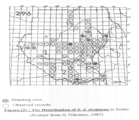 Figure 1: Distribution of the laughing dove (Streptopelia d.decipiens) in Sudan, redrawn from.
