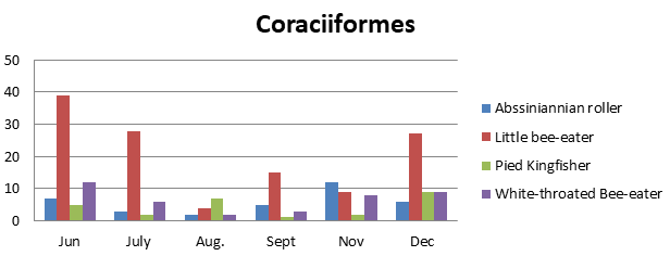 Figure 11: Number of bird species of the family Coraciidae, Meropidae and Alcedinidae observed in Um Dum Island, Khartoum, Sudan during June – December 2020.
