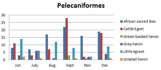 Figure 14: Number of bird species of the family Threskiornithidae, Ardeidae and Charadriidae observed in Um Dum Island, Khartoum, Sudan during June – December 2020.