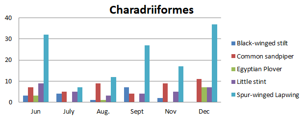 Figure 7: Number of bird species of the family Recurvirostridae, Scolopacidae, Pluvianidae, Scolopacidae and Charadriidae observed in Um Dum Island, Khartoum, Sudan during June – December 2020.
