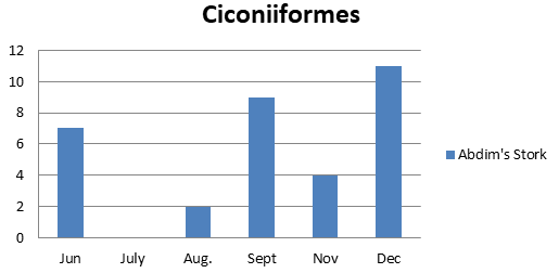 Figure 8: Number of bird species of the family Ciconiidae observed in Um Dum Island, Khartoum, Sudan during June – December 2020.