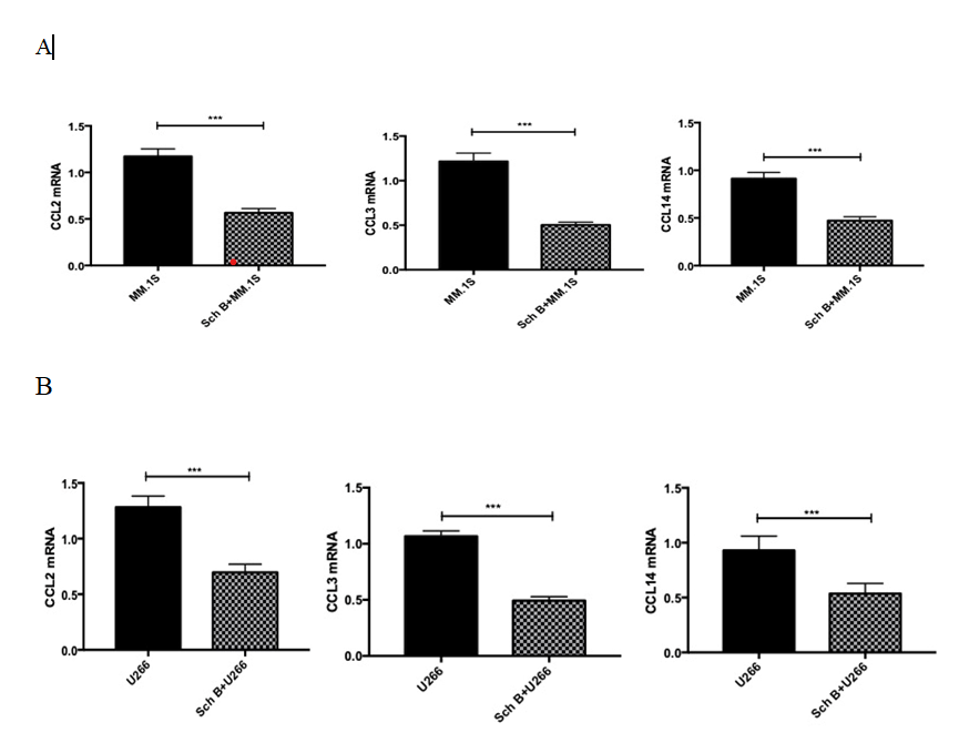 Figure 3: Sch B suppressed the mRNA expression of the chemokines CCL2, CCL3 and CCL14 in MM cell lines. (A) MM.1S;(B) U266; Data represent one of the three independent experiments, each performed in triplicate. ∗∗∗𝑃 < 0.001.
