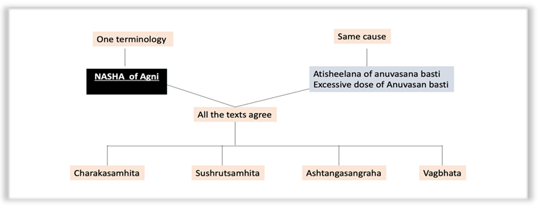 Figure 3: Nasha of agni.