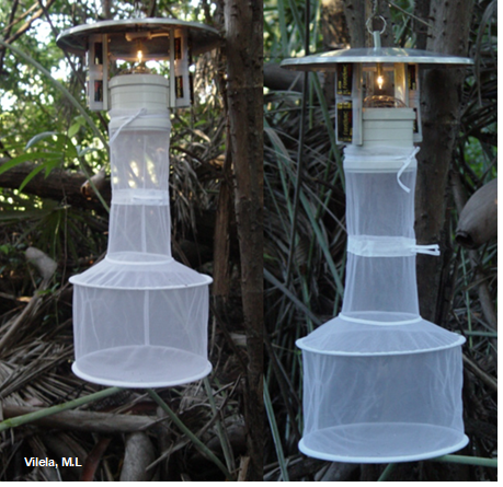 Figure 1: CDC traps with light bait, used to collect sandflies. At the researched location, the trap is placed from 6:00 pm until 6:00 am the following morning. Allowing for a more realistic description of the sandfly fauna and other insects in the region.