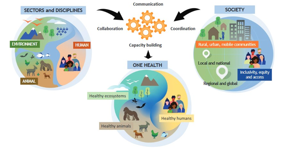 Figure 3: One Health Approach, Source [23].