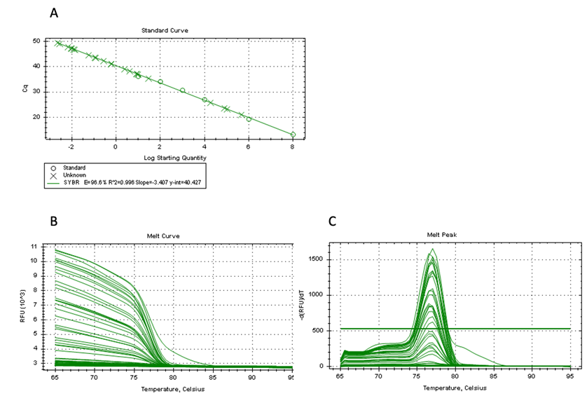 Figure 1: Associations of _C. pecorum_ load with sex, BC, and age. _C. pecorum_ load is indicated for sex (A) body condition, (B), and age (C). All resultant copy numbers have been log2 transformed. Each dot denotes an individual’s _C. pecorum_ load with median line displayed. Y-axis shows individual koala values (log transformed). For Statistical significance was evaluated using the Mann-Whitney U test and Kruskal-Wallis test. Data are presented as median bar.