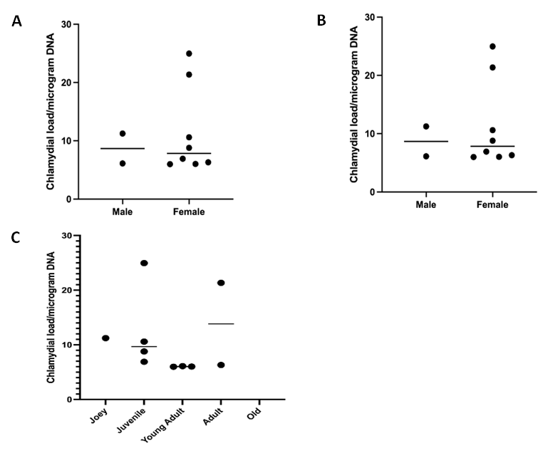 Figure 2: Amplification of _C. pecorum_ gene using genomic DNA from the conjunctival swab samples of koalas. Lane M, 100 bp DNA marker (GeneDireX, Inc.); lane (07=KU_TZ_07, 19=KU_HZ_19, 20=KU_HZ_20, 23=KU_HZ_23, 25=KU_HZ_25, 27=KU_ HZ_27, 28=KU_HZ_28, 37=KU_NZ_37, 43=KU_NZ_43, 44=KU_NZ_44) Samples; Lane NTC, no-template control; Lane PC, positive control.