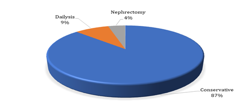 Figure 2: Mode of treatment of the patients.