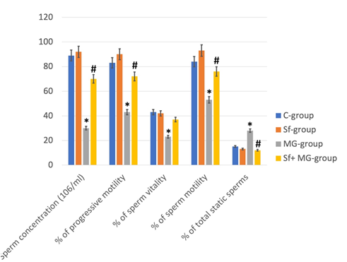 Figure 2: Effects of sulforaphane and monosodium glutamate supplements on semen parameters. * Significant (p < 0.05) difference in comparison to C-group. # Significant (p < 0.05) difference in comparison to MG-group. Data are presented as mean ± SD, (n=10).
