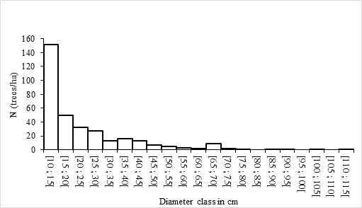 Figure 3: Diameter structure of the lowland forest.