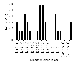 Figure 5: Diameter structure of _Antiaris toxicaria._