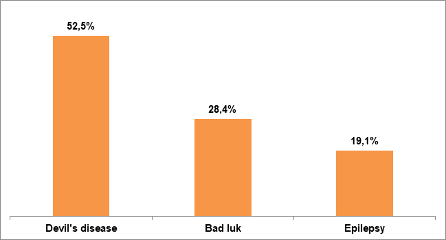 Figure 3: Distribution of the 183 patients followed in psychiatry for epilepsy and psychic disorders according to the cultural interpretation.