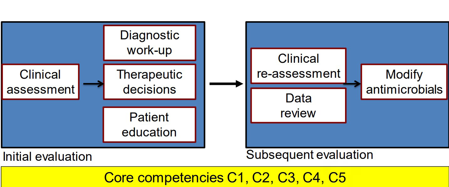 Figure 2: core competencies C1, C2, C3, C4.