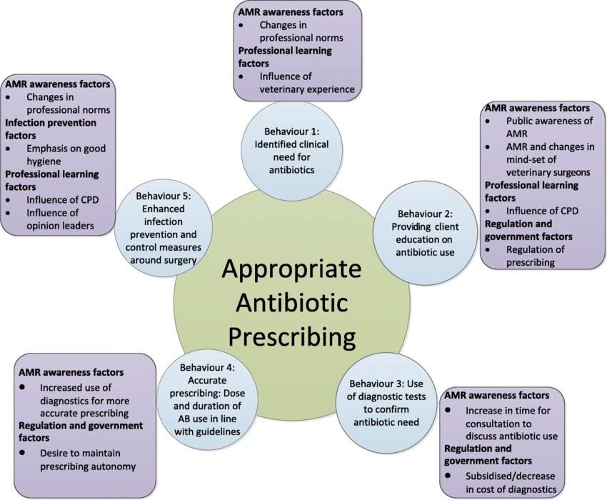 Figure 4: Appropriate antibiotic prescribing.