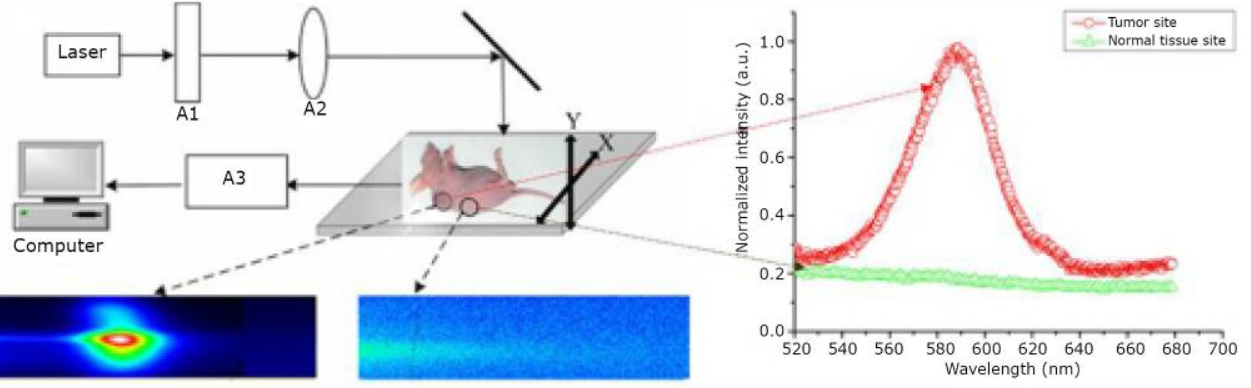 Figure 5: In vivo Targeting and Imaging of a Lung Metastasis Model Using QD-Based Nanotechnology: A Live Animal Imaging System. Reproduced from Chen C, et al. [39].