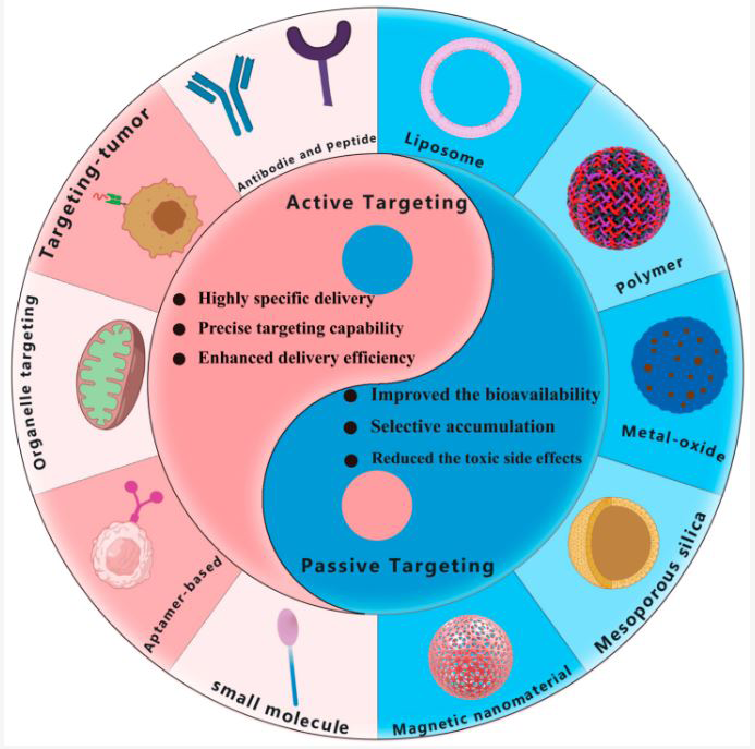 Figure 7: Schematic illustration of nanocarrier-based active and passive targeting drug delivery systems. Adopted from Li J, et al. [42].