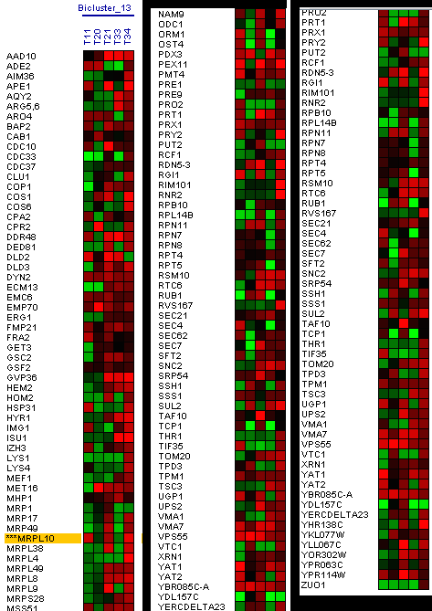Figure 17: Hierarchical cluster complete with MRPL10 gene.