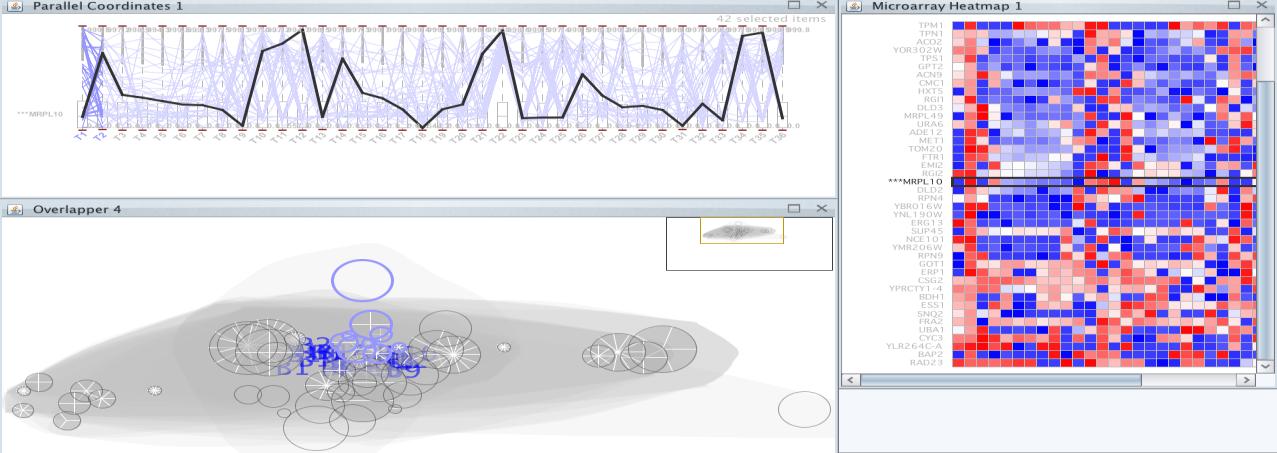 Figure 20: Bicluster with the MRPL10 gene.