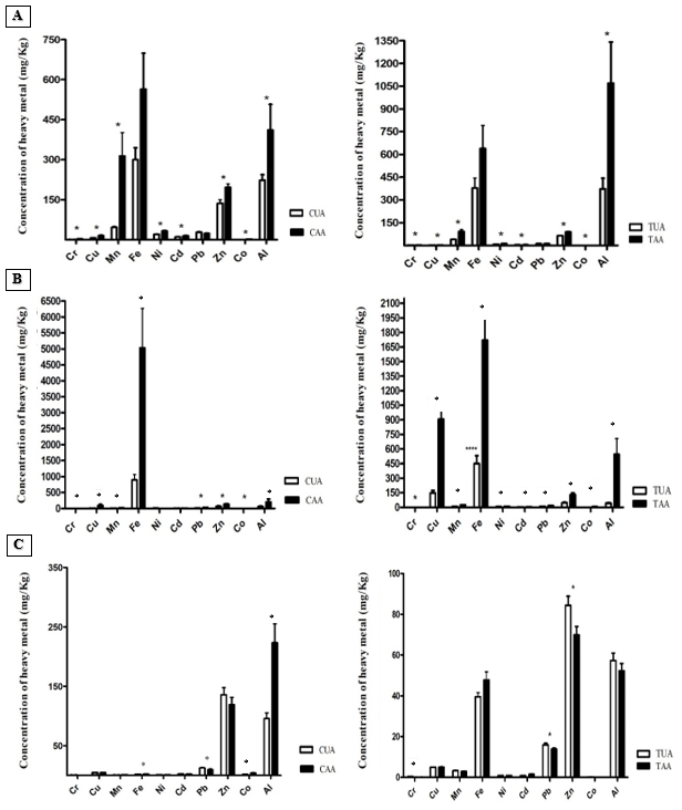 Figure 1: Concentration of heavy metals in the gills (A), liver (B) and muscle (C) of caras and tilapias collected in unaffected and affected areas by the collapse of the ore tailings dam in Mariana-MG. Data expressed as mean ± standard error. * Indicates a significant difference, using the t test or Mann-Whitney test, at a 5% significance level. CUA: caras from unaffected area, CAA: caras from affected area, TUA: tilapias from unaffected área, TUA: tilapias from affected área.