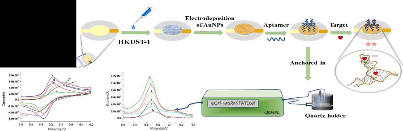 Figure 4: Schematic illustration of tetracyclines detection based on POC quartz crystal microbalance MOD-based aptasensor using differential pulse voltammetry (DPV) and cyclic voltammetry (CV) methods. Adopted from Yang, et al. [31] with permission. Under the optimized experimental conditions and adoption of frequency change, the quantitative determination of TTC was performed in the broad concentration linear range of 1.0 × 10−10 g/mL to 1.0 × 10−5 g/mL with satisfactory recovery rates between 87.6 and 91.4% (LOD; 0.80 × 10−11 g/mL).