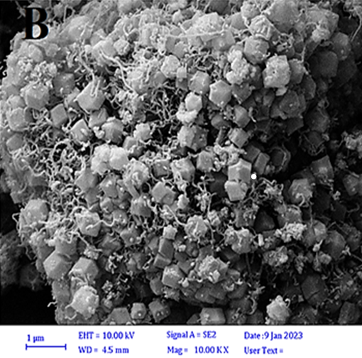 Figure 3: Energy-dispersive X-ray spectroscopy (EDS) spectrum of ZIF-8/CNT.