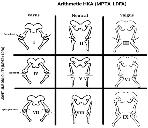 Figure 3: C.P.A.K. 9 X 9 Matrix.
