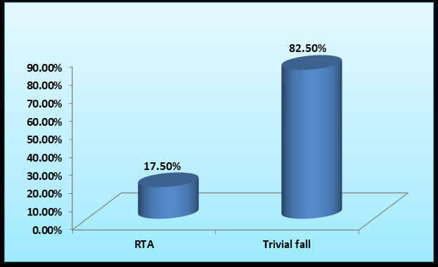 Figure 6: Mechanism of trauma distribution.