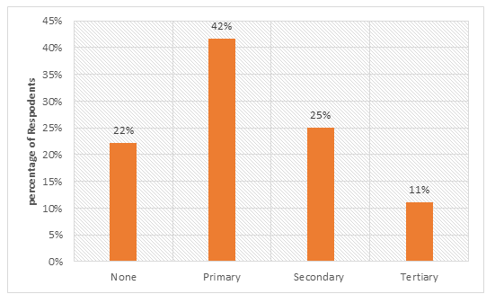 Figure 3: Education level of TMPs.
