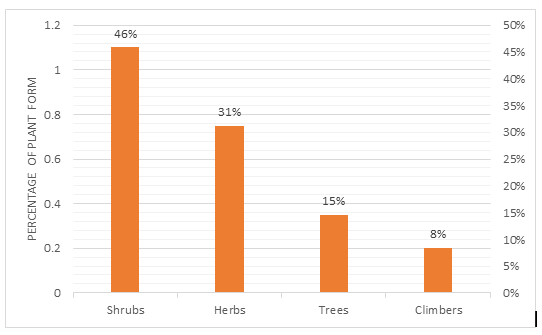 Figure 4: Forms of the medicinal plants used by the herbalists.