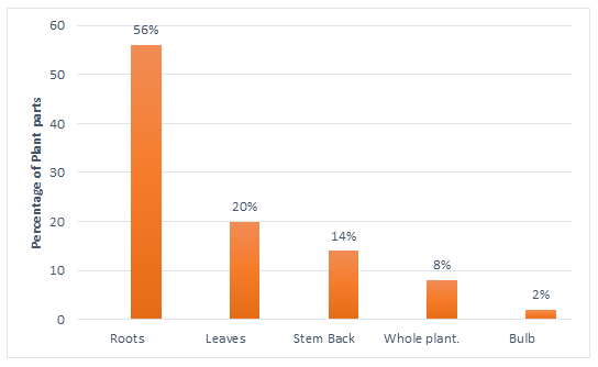 Figure 5: Most herbalists mentioned decoctions as the most common method for preparing remedies, involving the boiling, or soaking of fresh or dried plant parts in water. Other methods included poultices, ash, powder mixed with water for oral administration, and infusion. All herbal preparations were freshly made just before administration. The oral route was cited by all TMPs as the preferred method for administering the medicine in the treatment of arthritis.