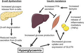 Figure 12: Hyperglycaemia.