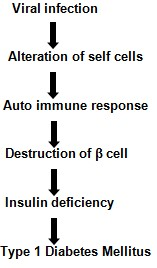 Figure 17: Exacerbating Hyperglycemia.