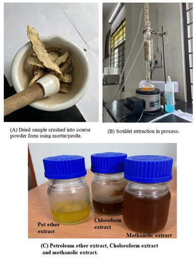 Figure 1: Extraction in Process.