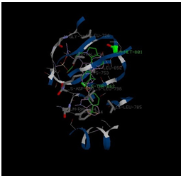 Figure 11: Molecular interactions between Tupichinol E-HER2 Complex.