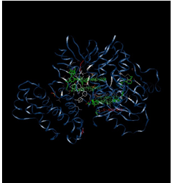 Figure 8: Molecular interactions between Osmertinib- EGFR Complex.
