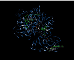 Figure 9: Molecular interactions between Tupichinol E- EGFR Complex.