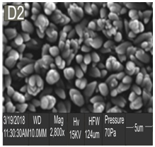 Figure 9: SEM Image of AlZnO annealed at 150°C.