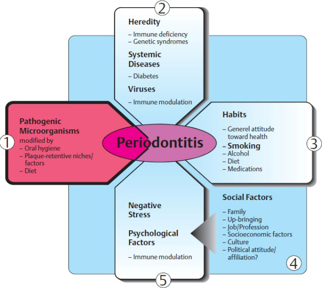 Figure 1: Pathophysiology of the Periodontitis.