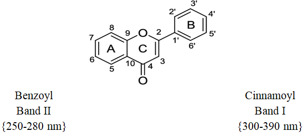Figure 1: The flavonoids structure.