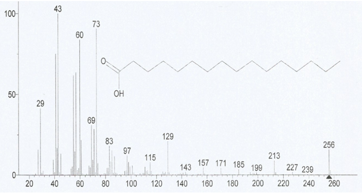 Figure 7: The mass spectrum of 2-Butanone, 4-(acetyloxy).