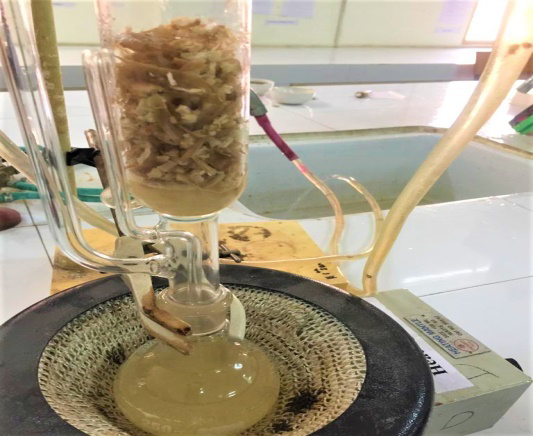 Figure 2: Extraction of plant material.