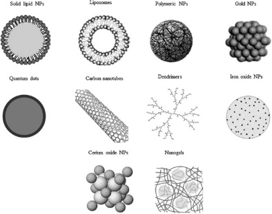 Figure 3: Electron microscope images show how NPs can penetrate and relocate to various sites inside a phagocytic cell line. (A) Untreated phagocytic cell line (RAW 264.7). Cells were treated with (B) ultrafine particles ((<100 nm) (C) TiO2, (D) fullerol, (E) COOH–polystyrene nanospheres, and (F) NH2polystyrene nanospheres. NP exposure was conducted by treating the cells with 10 μg/mL NPs (<100 nm) for 16 h. Labels: M = mitochondria, P = particles Xia T, et al. [42], copyright 1969, American Chemical Society.